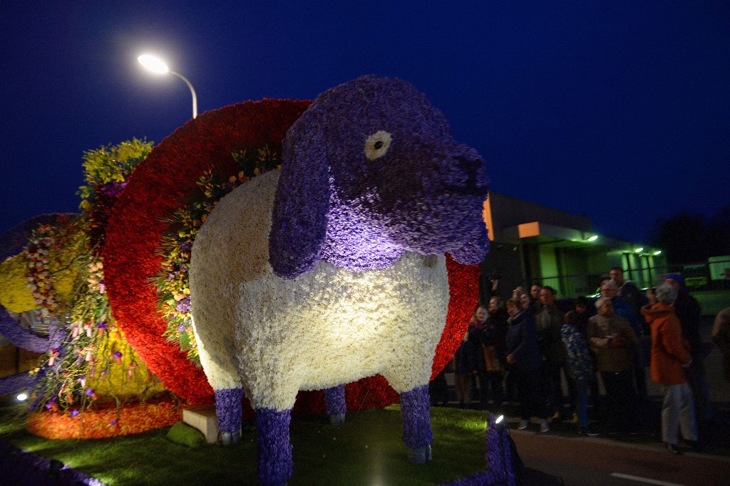 ../Images/Bloemencorso Noordwijkerhout 239.jpg